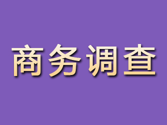 平陆商务调查